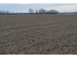 Property photo 1 - 173 +/- Acres Offered in 3 Tracts - Ohio Farmland